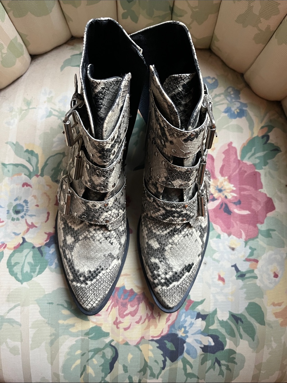 Snake-Print Buckle Ankle Boots in Black & Cream